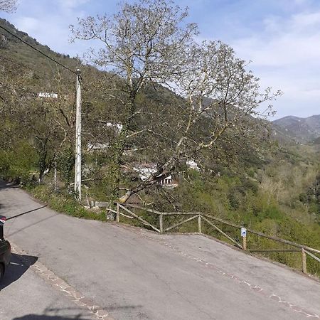 Aparatamento Rural El Oso 3 Pola de Somiedo Bagian luar foto