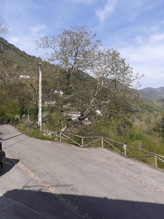 Aparatamento Rural El Oso 3 Pola de Somiedo Bagian luar foto